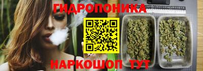 дурь Заволжье