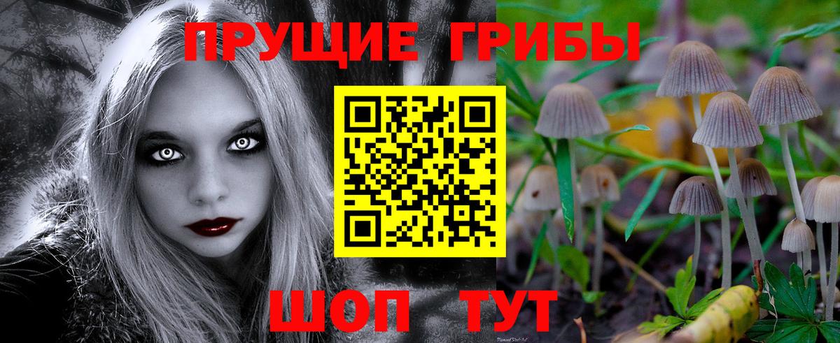 Арзамас  Псилоцибиновые грибы MAGIC MUSHROOMS  Вход с VPN 